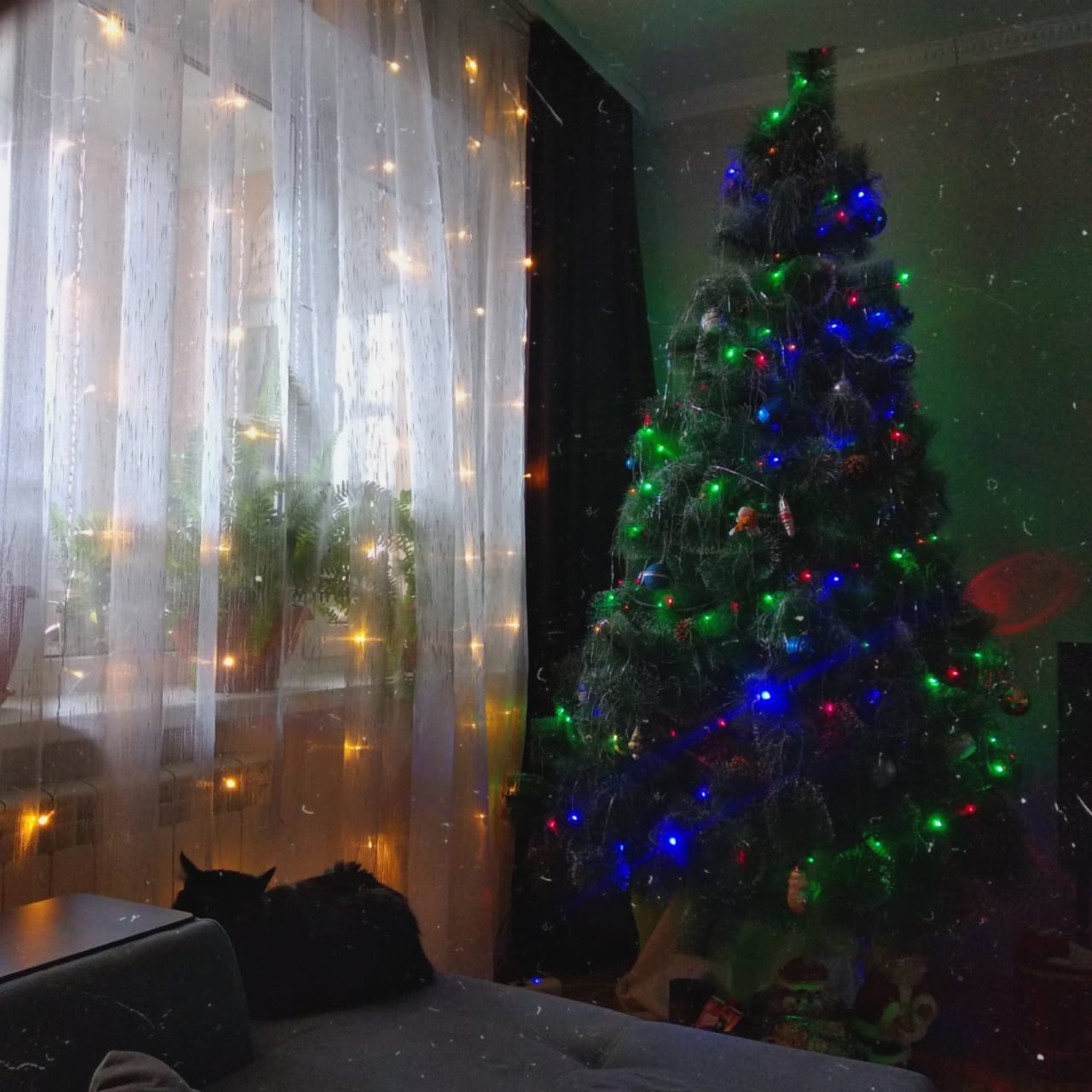 Рисунок: /kgtk-boundary-information/event/8ee6faa7-142e-4981-9c21-25c0d2d2b3ab.jpg